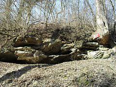 Parów Cieleszyński